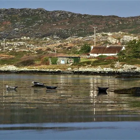 Holiday home Seals Cove Clifden