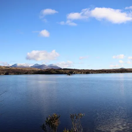 Seals Cove Clifden